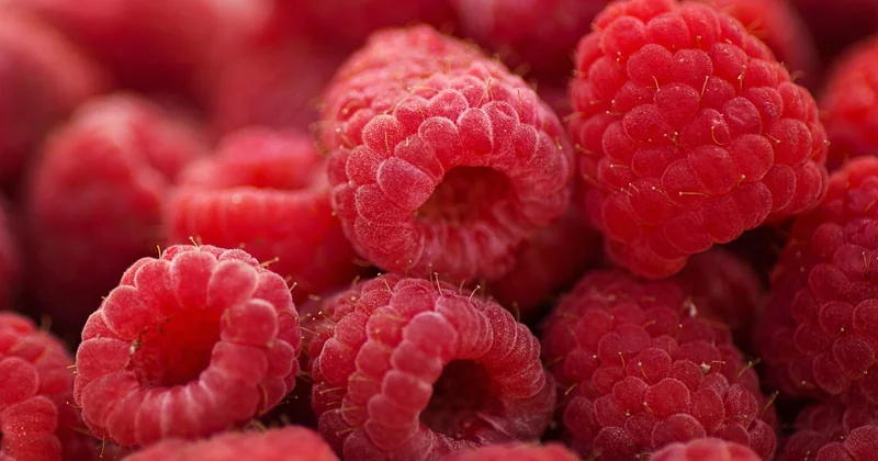 Le dessert aux fruits adapté aux régimes spécifiques