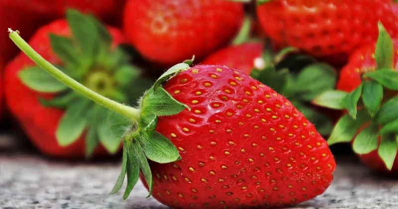 Cinq desserts rapides sans cuisson à base de fruits frais
