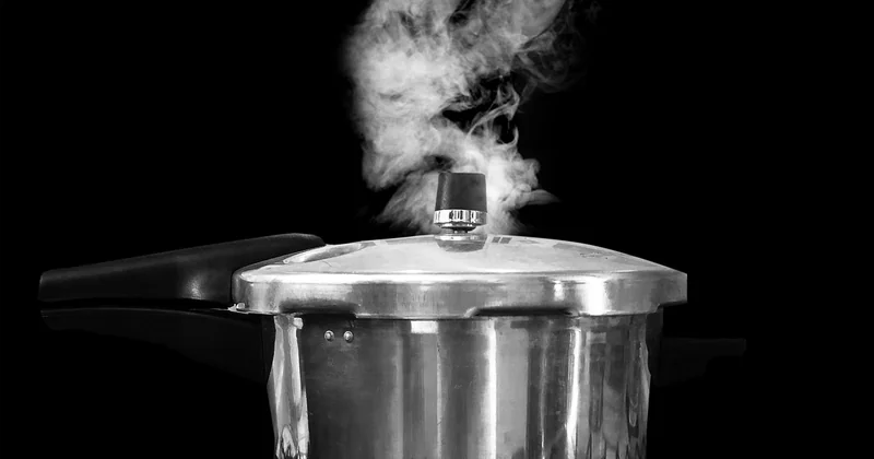 Cookeo, cocotte et mijoteuse : le vrai bilan
